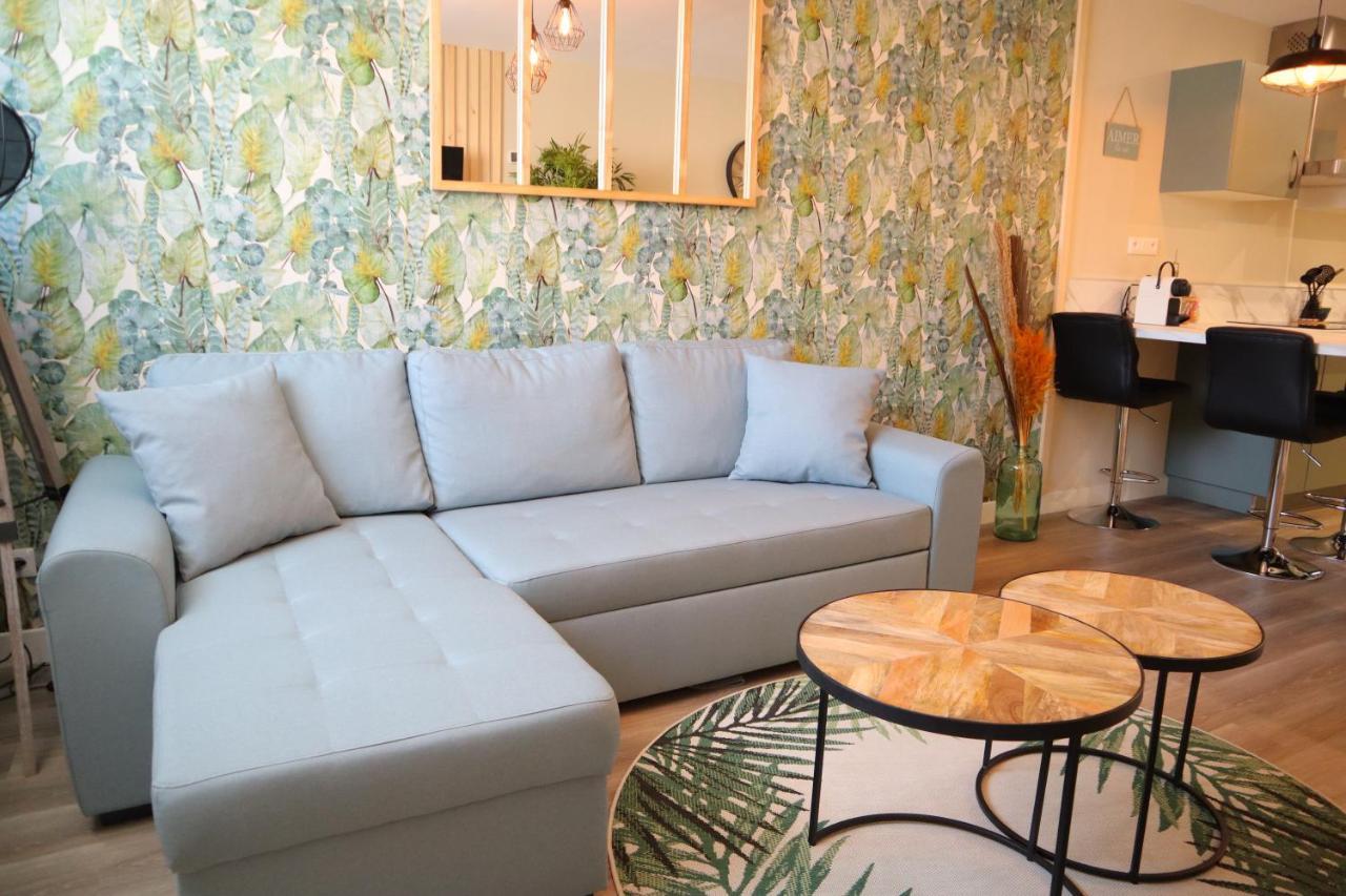 Appartement 1 Chambre Ambiance Tropicale - Centre De Bourbourg, Terrasse Privee Екстериор снимка